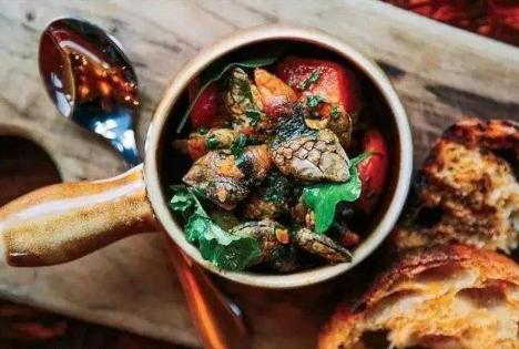 �������ϵ��ٺ���ʲô �ٺ���ô����