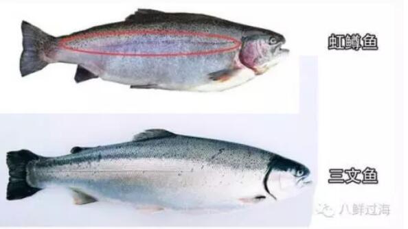 �����㱻�������Ⱦ֢״����Щ ������Ա�������������ͼƬ