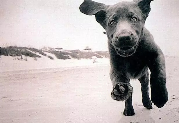 ���������ҵ����������� ��˵��������