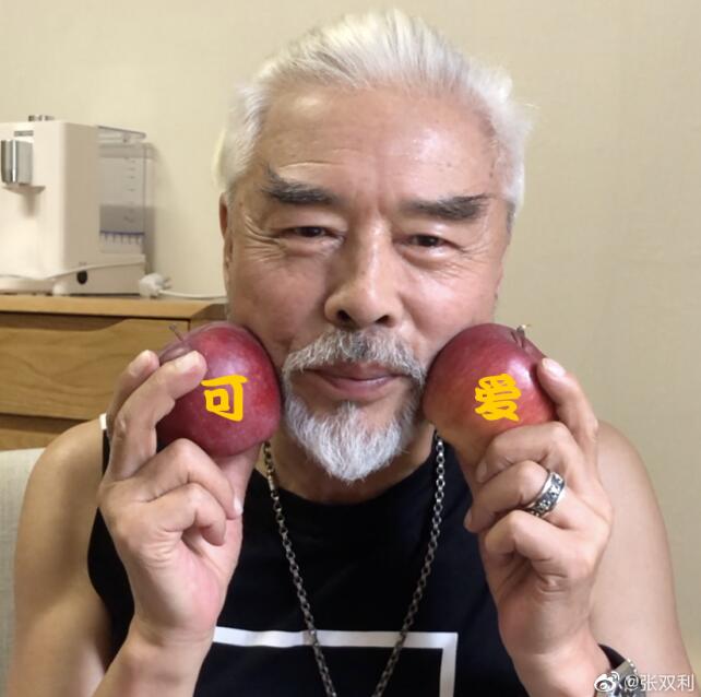 张双利跟宫崎骏是一个人吗 真的是和宫崎骏好似一个人