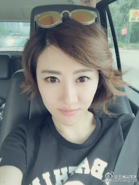 ������Ӿװ��Ƭ �����ȸ�ԲԲ����Ա�ͼ