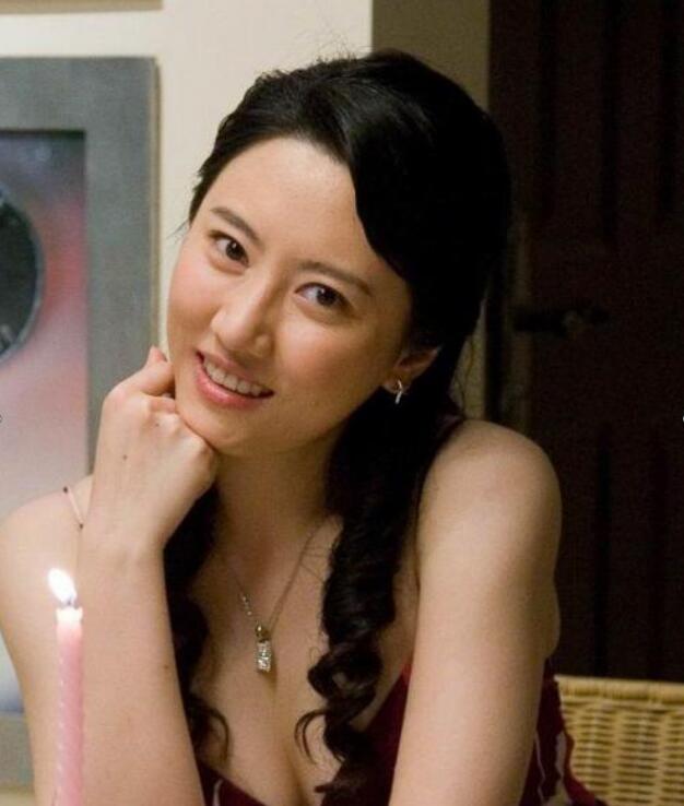 ������Ӿװ��Ƭ �����ȸ�ԲԲ����Ա�ͼ