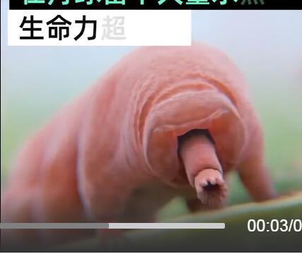 ˮ�ܳ������Ƕ������ܻ�10������ ��ô����ɱ������