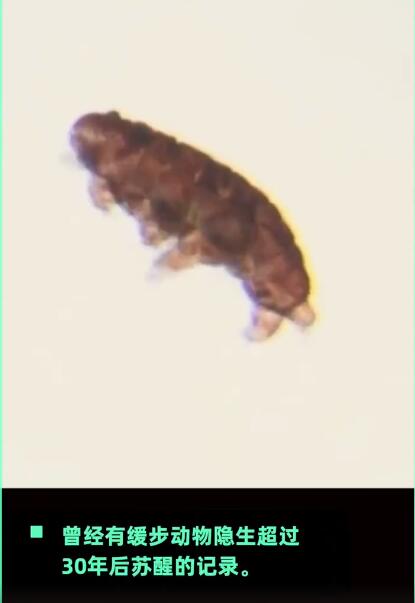 ˮ�ܳ������Ƕ������ܻ�10������ ��ô����ɱ������