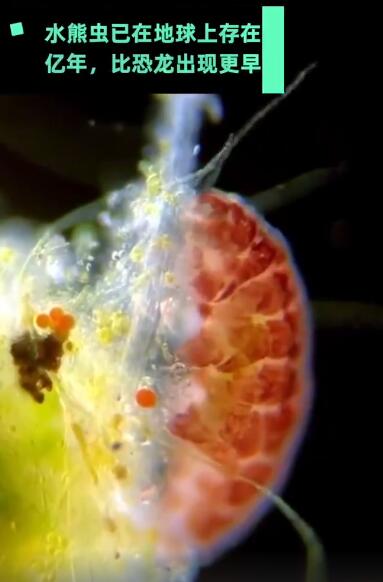 ˮ�ܳ������Ƕ������ܻ�10������ ��ô����ɱ������