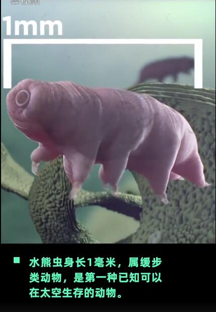 ˮ�ܳ������Ƕ������ܻ�10������ ��ô����ɱ������