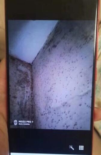 ������������ô�������� ��������ô���Ը�����