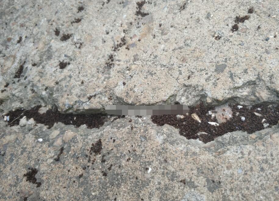 ������������ô�������� ��������ô���Ը�����