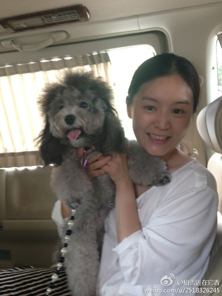 �������Ͱ�ѩ̸�������� ��ѩ�Ϲ���˭