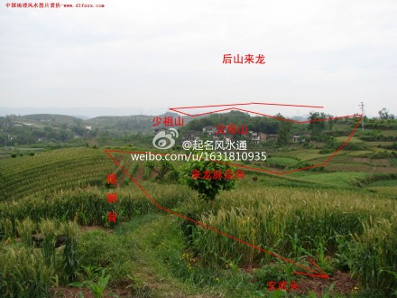 ���ˮ����ʲôʱ���Ч �����չ�������֮��ͻ�������