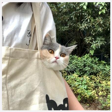 �и��������רһ�� ���˵����Ҳ��һ��ǿ��֢