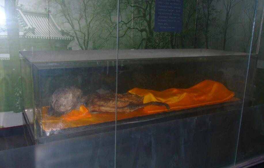 ��׾����ʵ������˳����ļٵ� ��׾��Ĺ�������Щ