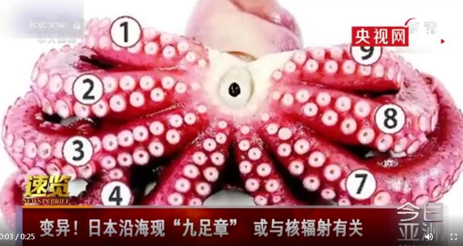 �ձ������˷�����ʵ��������ͼƬ �Ѿ����־�������