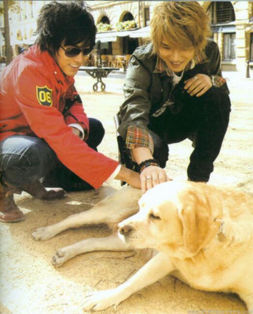 ֣�ʺƱ�Ͷ���¼�����ô���� ���ͽ�������ʵ��ϵ��ʲô