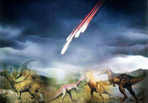 ����С�����ܻ������ С����ײ�������������