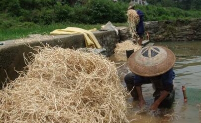 �۶�����ʲô ζ��Ϊʲô��ô�����ѳ�