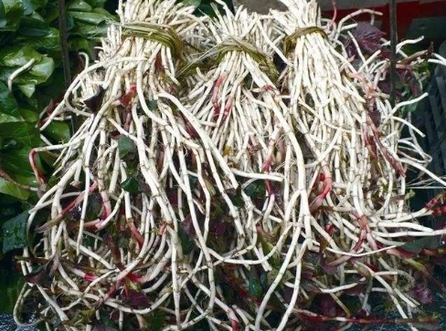 �۶�����ʲô ζ��Ϊʲô��ô�����ѳ�