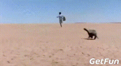 ��ү�����׷����Сʱ ���Ǳ�ү�ǡ��ϵ�Ҳ�������������׷