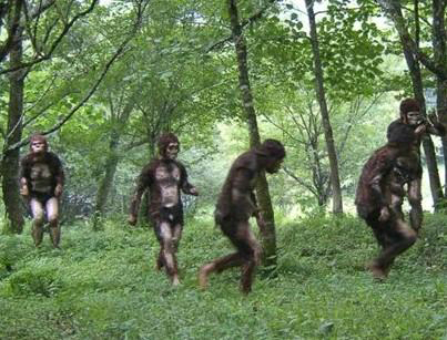 ��ȦҰ����ʲô��˼ ˵һ������Ұ����ʲô��˼