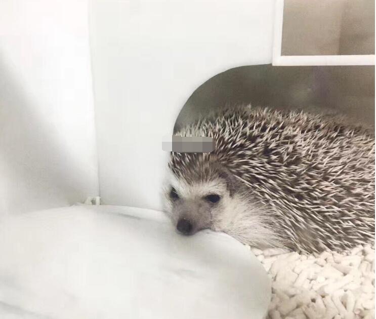 ���Ϊʲô��������� ��������⬶Է�ˮ����