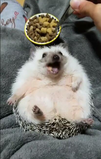 ���Ϊʲô��������� ��������⬶Է�ˮ����