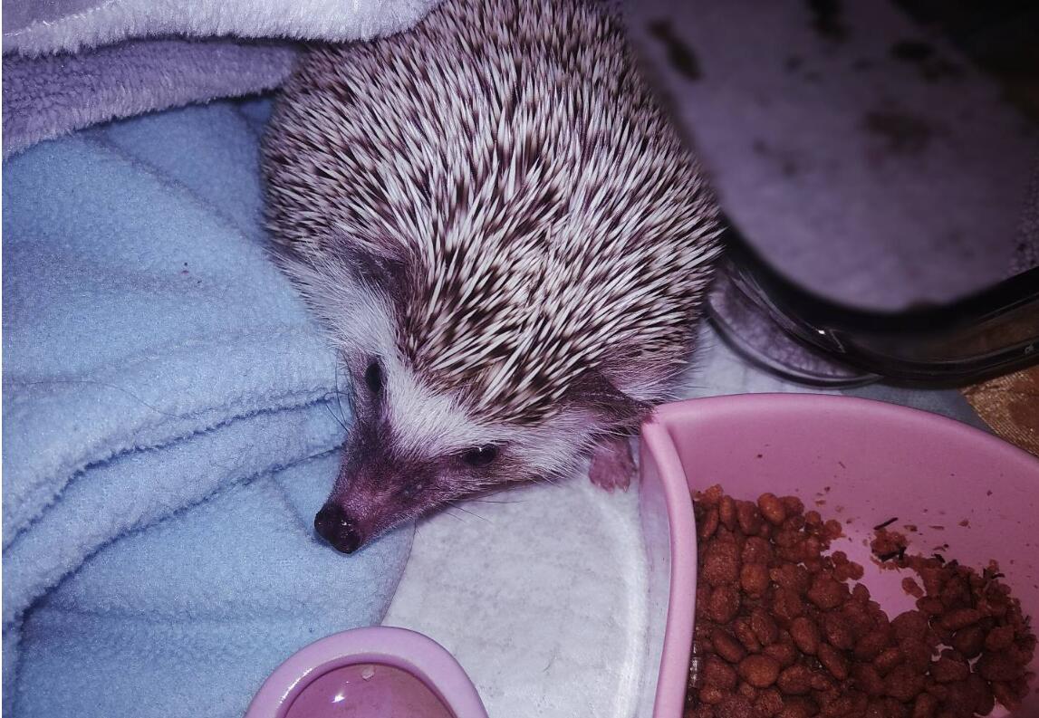 ���Ϊʲô��������� ��������⬶Է�ˮ����