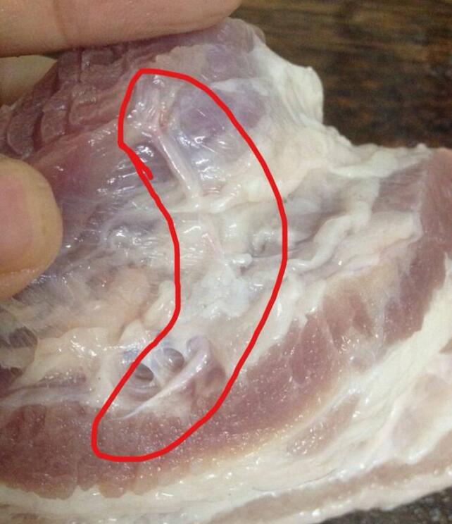 猪肉有寄生虫图片