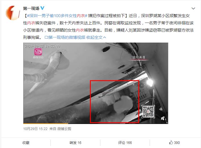 һ���ھ���lsp��ʲô��˼ ��ɫ���ͱ�̬��������ʲô