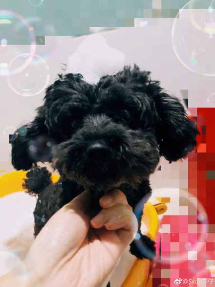 Ϊʲô˵̩�Ϲ�������ɫ�� ̩��֮����ʲô��˼