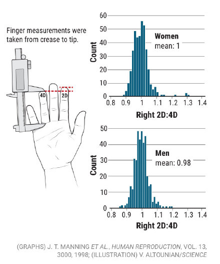 ����ָ�ĳ��ȴ���ʲô ����ָ�ĳ��ȸ�غͪ�й���