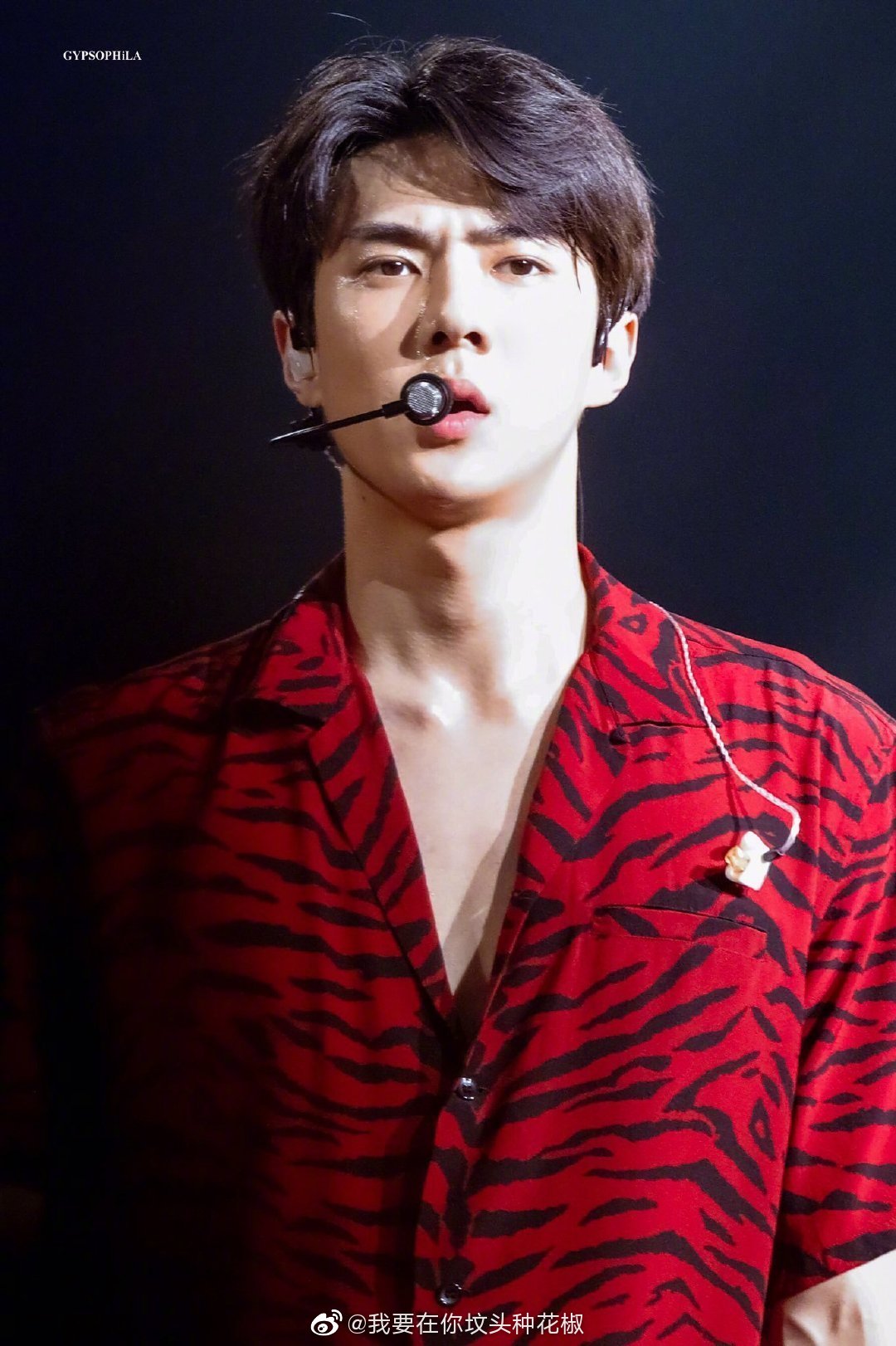 ֣�㾧�����ε�����ô���� ���ε�����ѫ������üͼ