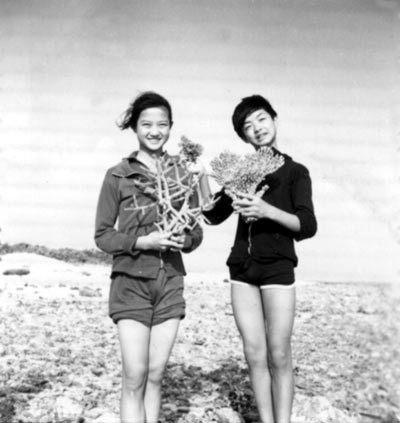 ���Ǳ������ܹ����������� ���Ǳ��Թ���ȫ�ع�ͼ