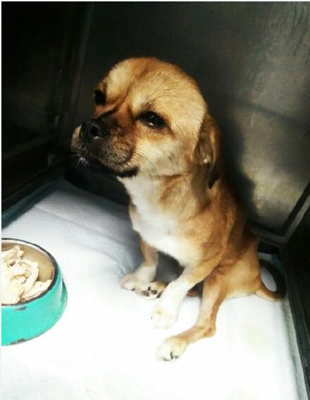 ��ˮ����ʲô�� ����̤ѩ�Ĺ��в���ļٵ�