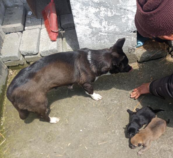 ��ˮ����ʲô�� ����̤ѩ�Ĺ��в���ļٵ�