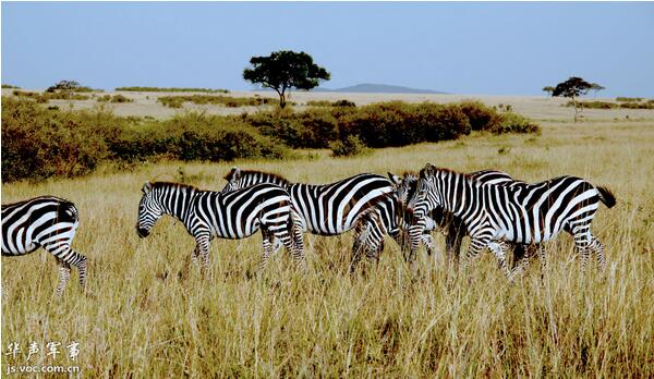 ��������Ů����ʲô����ͼƬ Ů�Ը������������