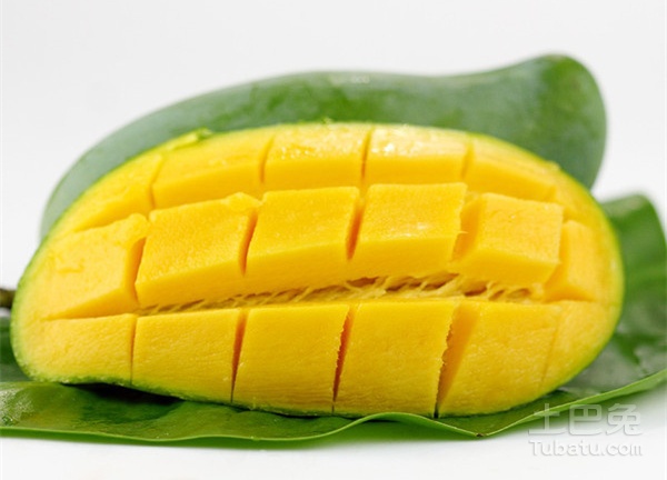 ��֦������â����ó� ��֦��â����Ӳ��ô��