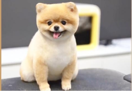 ����������Ů�ԡ�����������ʲô��˼ �������Ƕ�ϲ������˵����