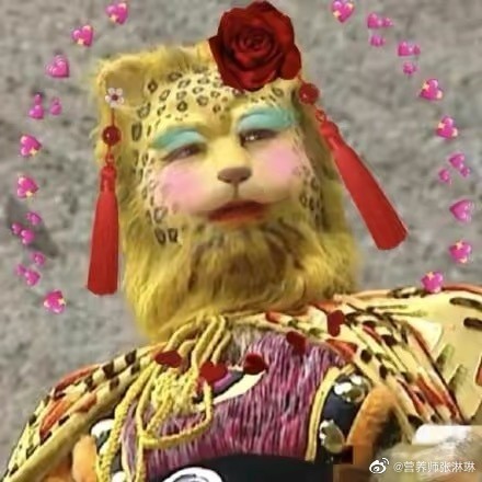 ��Ǯ��ͷ��ʲô�� ���μǽ�Ǯ��ͷ�����ͼƬ����Ů�����ֵĶ��У�