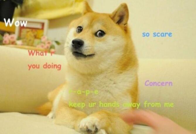 �񷳹�doge����� �񷳹���ʲô��˼