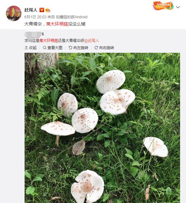 ������ɡ�͸ߴ󻷱�����ô���� �ߴ󻷱������Գ����ж���