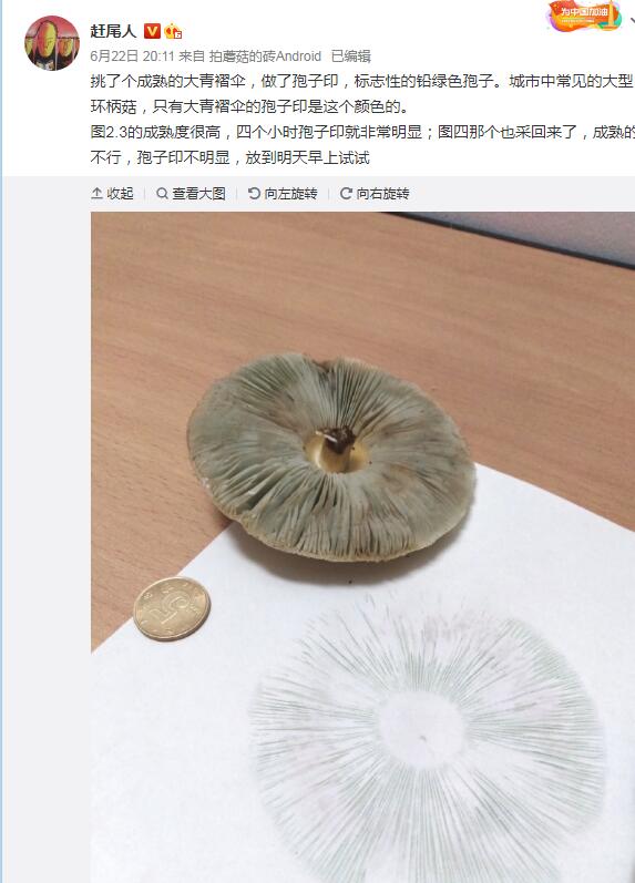 ������ɡ�͸ߴ󻷱�����ô���� �ߴ󻷱������Գ����ж���