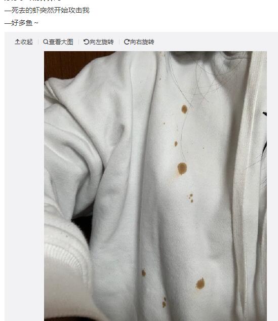 ��ȥ��XXͻȻ��ʼ��������ʲô�� ԭͼ