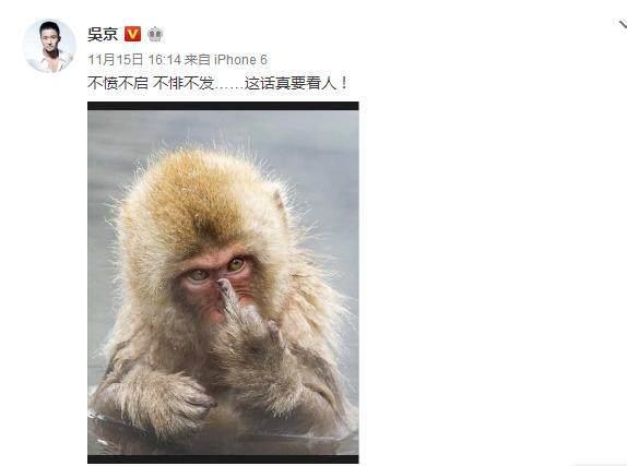 �ź���ô�����⾩��?�⾩���ѡ�ź�����ս��