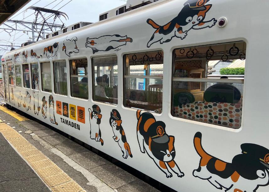 ����èΪʲô�в� ����è��ʲôƷ�� ����ĸè��