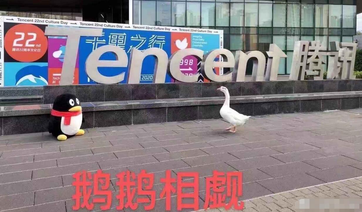 �쳧��������ʲô��˼ ��ʲô��˾