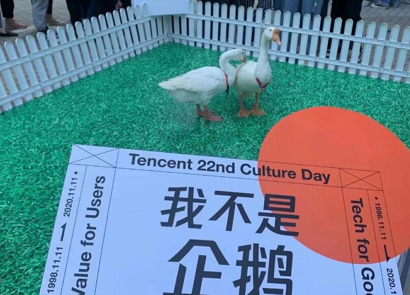 �쳧��������ʲô��˼ ��ʲô��˾