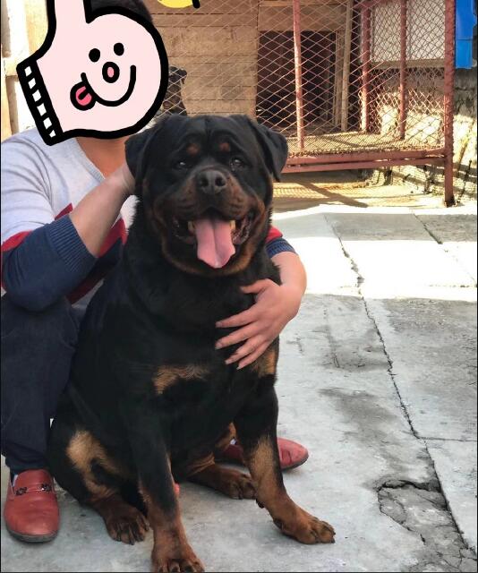 ������Ȯ��������ڼ� ���ʵ���ǲ��������