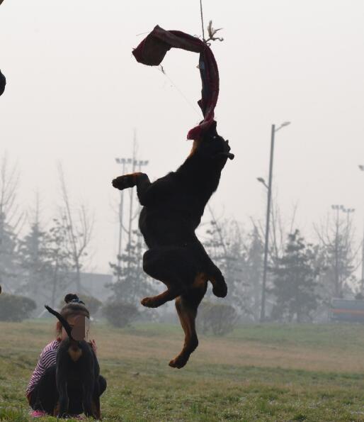 ������Ȯ��������ڼ� ���ʵ���ǲ��������