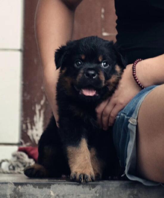 ������Ȯ��������ڼ� ���ʵ���ǲ��������