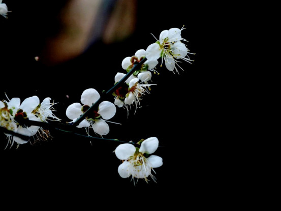 ��ǰ������ȷλ��ͼƬ Ĺ��һ���ǲ�����������